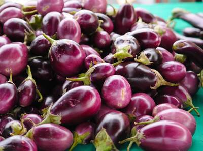 Eggplant Scientific Articles