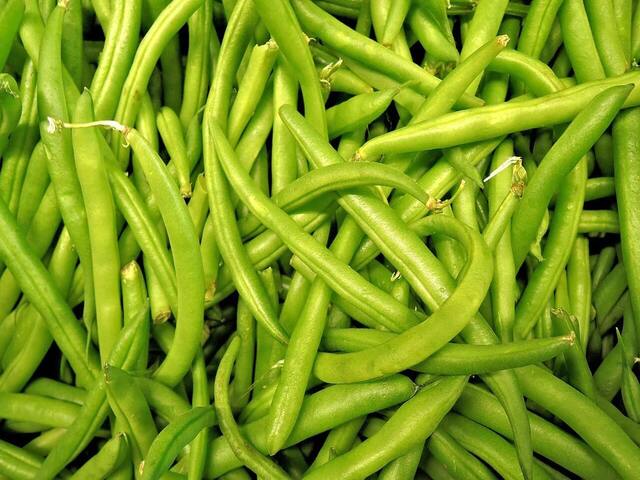Green Beans - インゲン豆