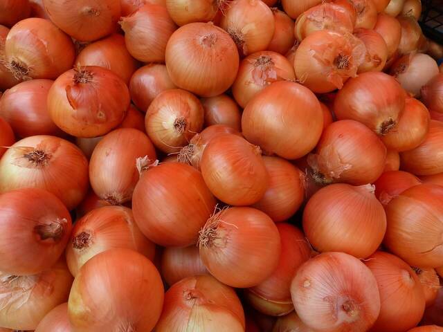 Onion - 玉ねぎ