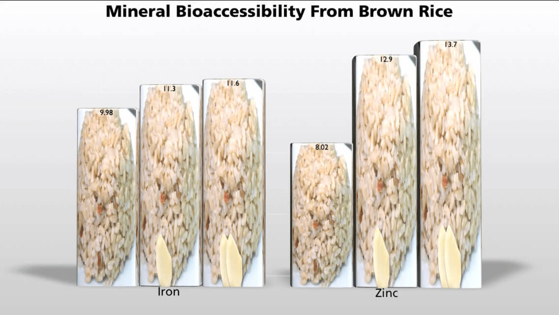 Mineral bio-accessibility from brown rice with garlic