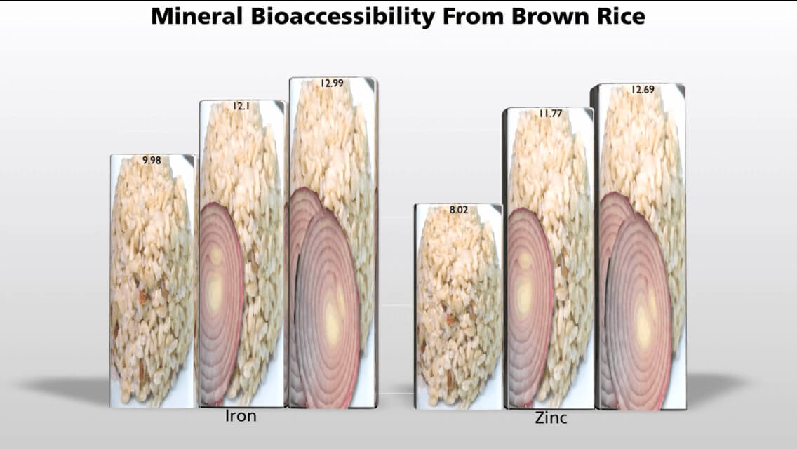 Mineral bio-accessibility from brown rice with onion