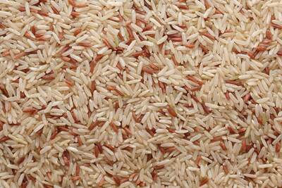 Rice Scientific Article